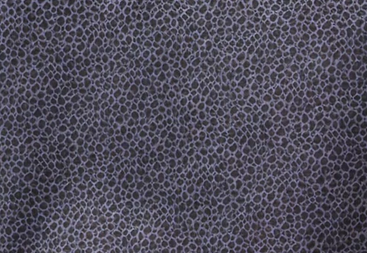 pike background